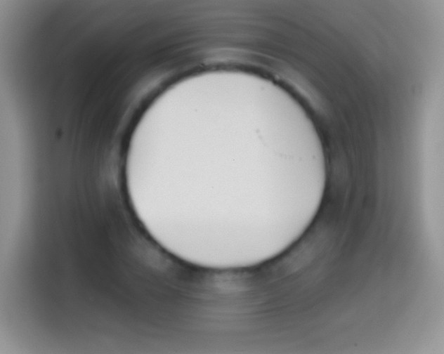 X0000113860832200910011019