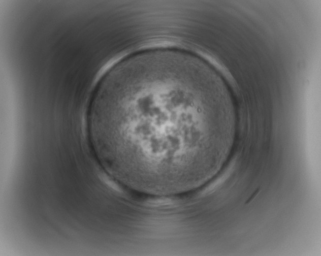 X0000113860834200910011019