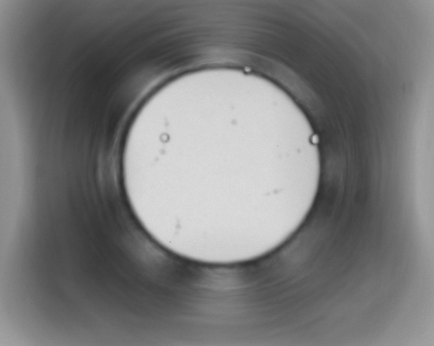 X0000113860836200910011019