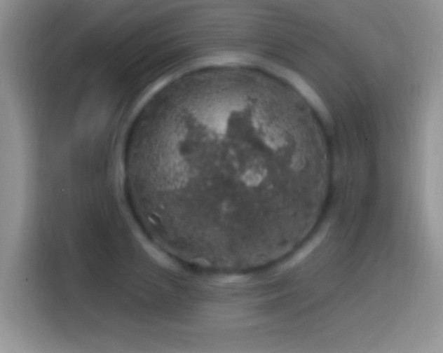 X0000113860837200910011020