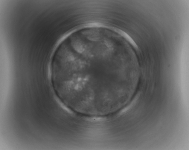 X0000113860839200910011020