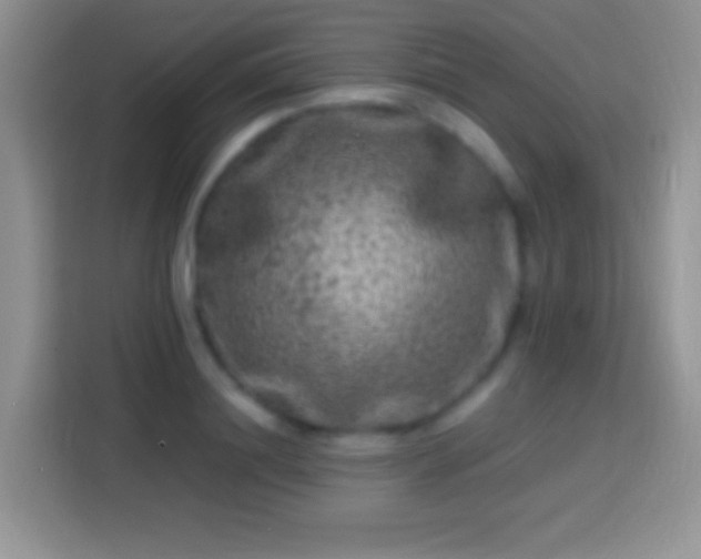 X0000113860844200910011020