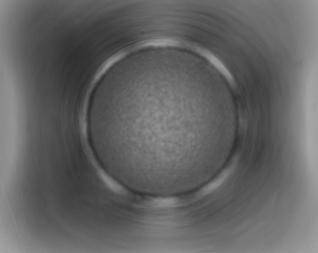 X0000113860845200910011020