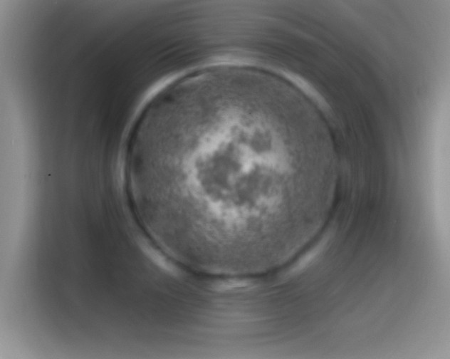 X0000113860846200910011020
