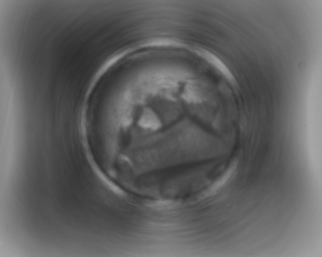 X0000113860847200910011020