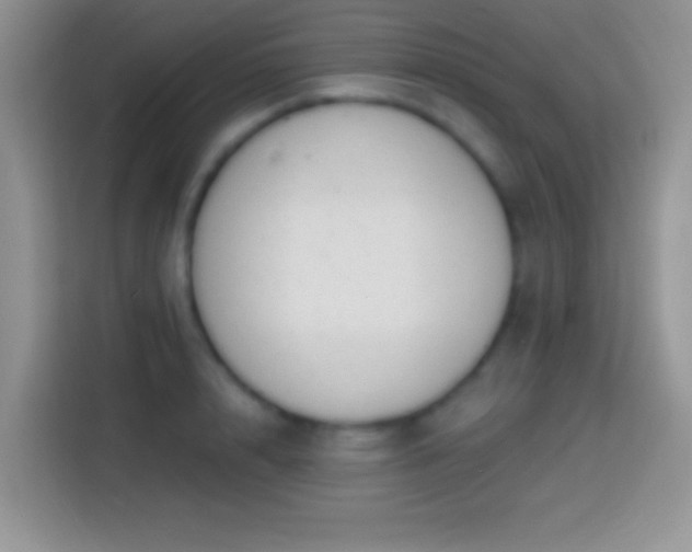 X0000113860848200910011020
