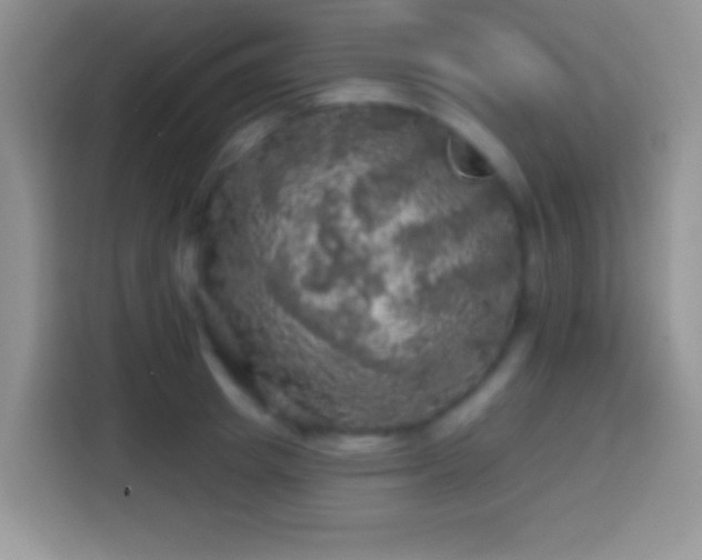 X0000113860849200910011020