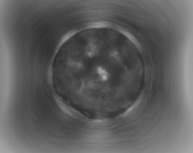 X0000113860850200910011020