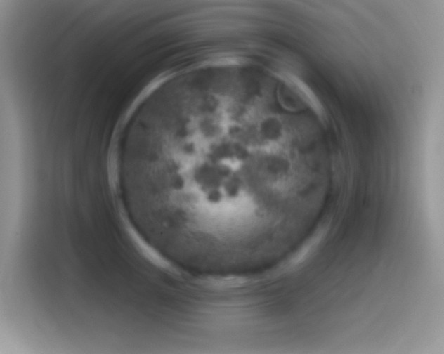 X0000113860851200910011020