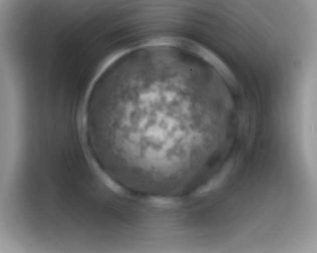 X0000113860852200910011020