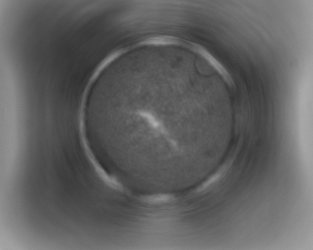 X0000113860853200910011020