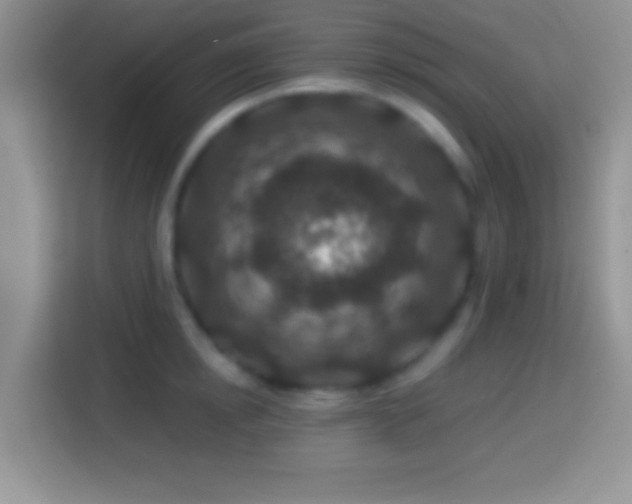 X0000113860854200910011020