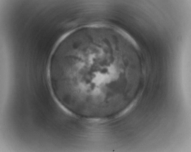 X0000113860855200910011020
