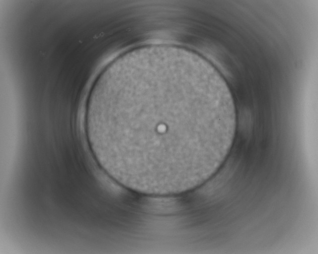 X0000113860856200910011020