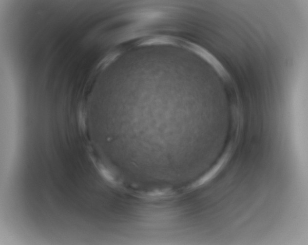 X0000113860857200910011020