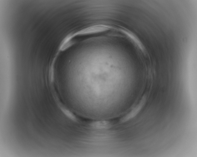 X0000113860858200910011020