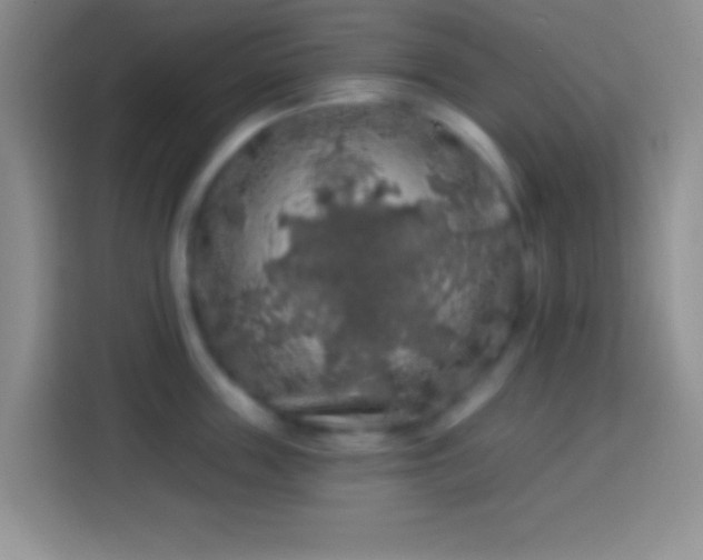 X0000113860859200910011020