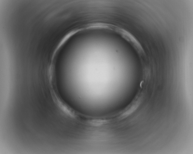 X0000113860860200910011020