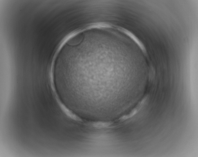 X0000113860861200910011020