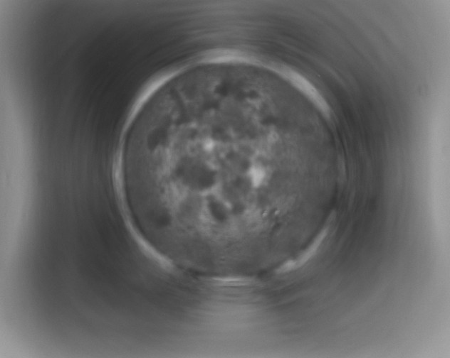 X0000113860863200910011020