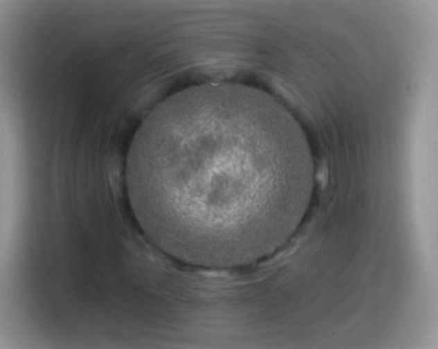 X0000113860867200910011019