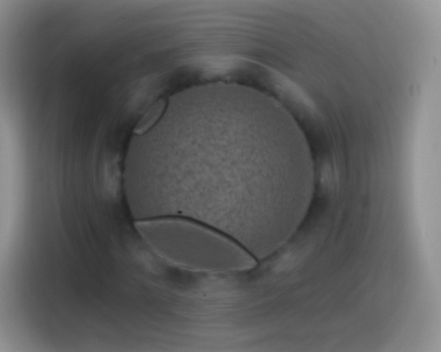 X0000113860868200910011019