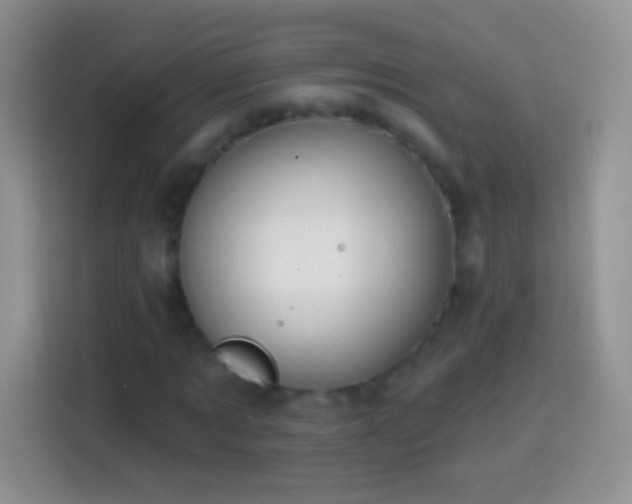 X0000113860869200910011019