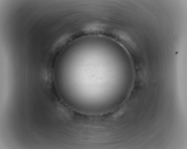 X0000113860870200910011019