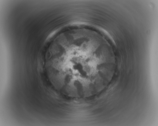 X0000113860871200910011019
