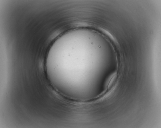 X0000113860873200910011019
