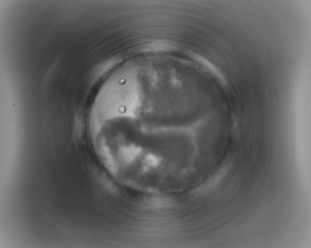 X0000113860874200910011019