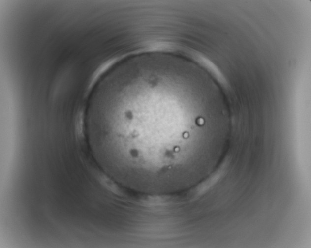 X0000113860875200910011019