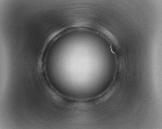 X0000113860876200910011019