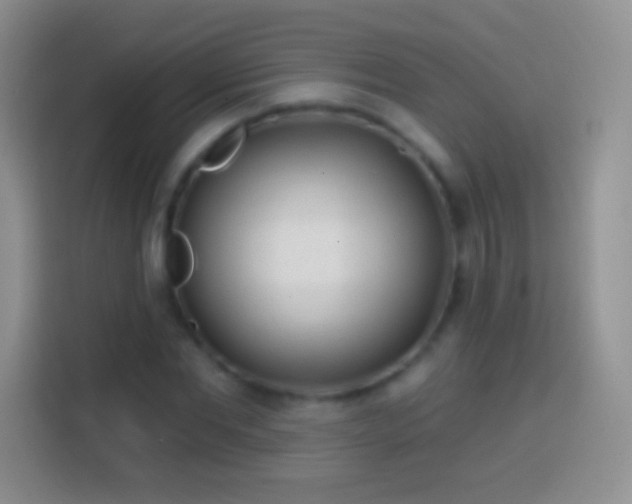 X0000113860877200910011019
