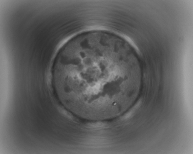 X0000113860879200910011019
