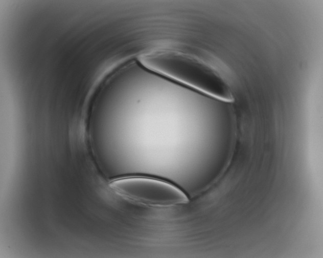 X0000113860880200910011019