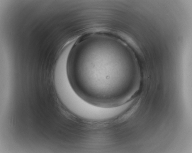 X0000113860881200910011019