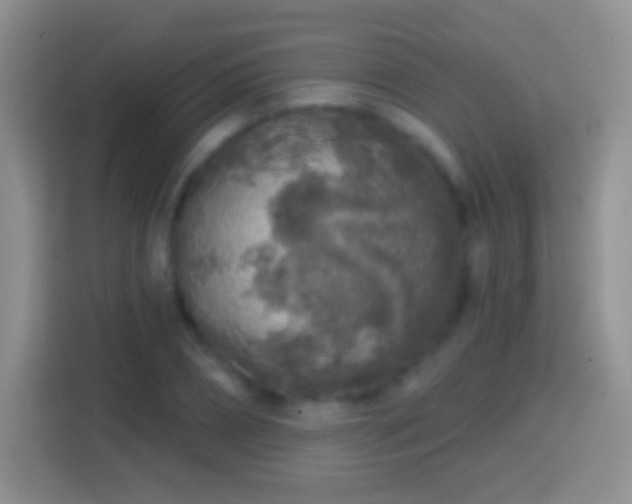 X0000113860882200910011019