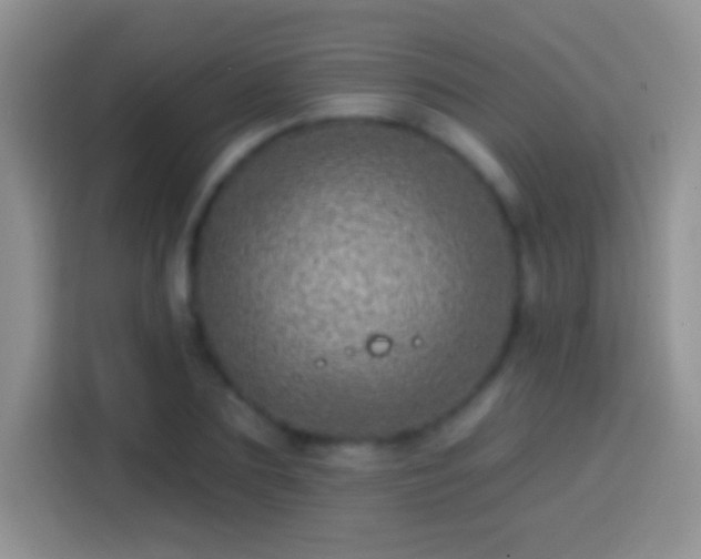 X0000113860883200910011019