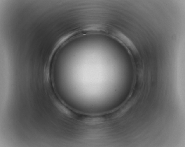 X0000113860884200910011019