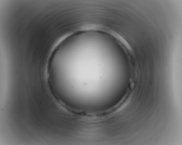 X0000113860885200910011019