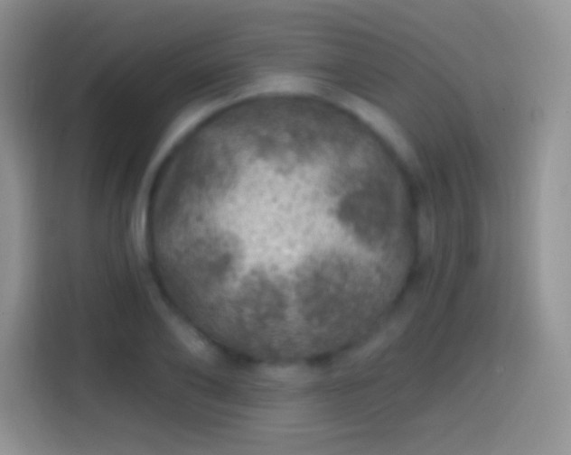 X0000113860886200910011019