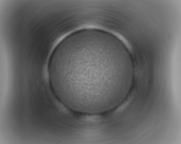 X0000113860887200910011019