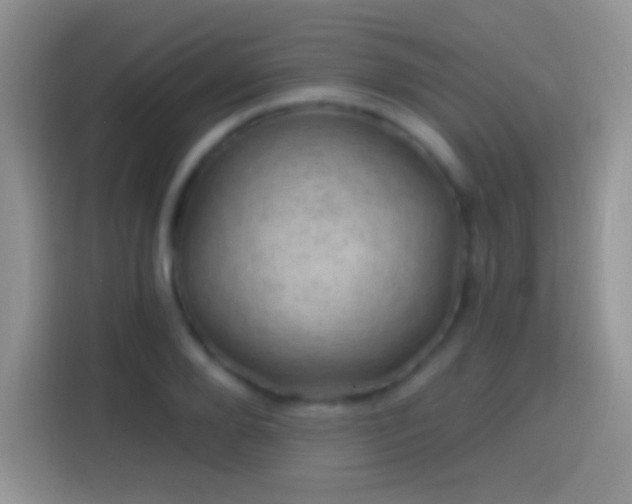 X0000113860888200910011019