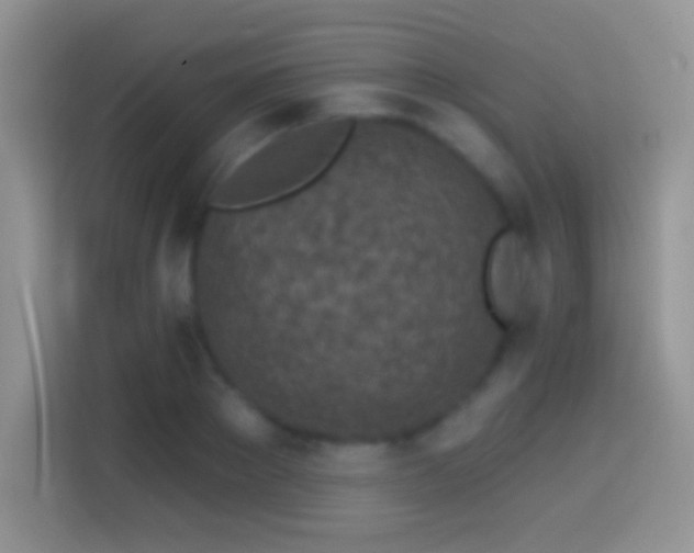 X0000113860889200910011019
