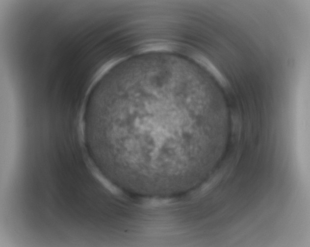 X0000113860890200910011019