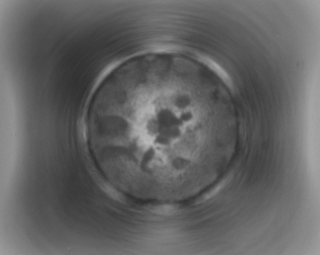 X0000113860891200910011019