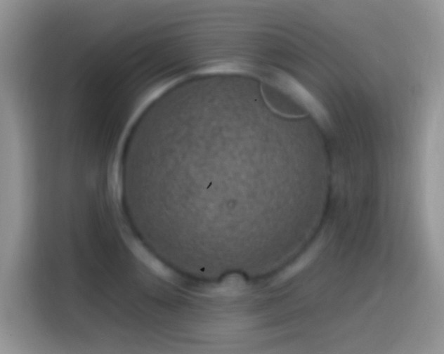 X0000113860892200910011019