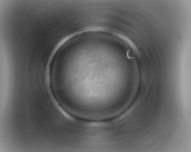 X0000113860894200910011019