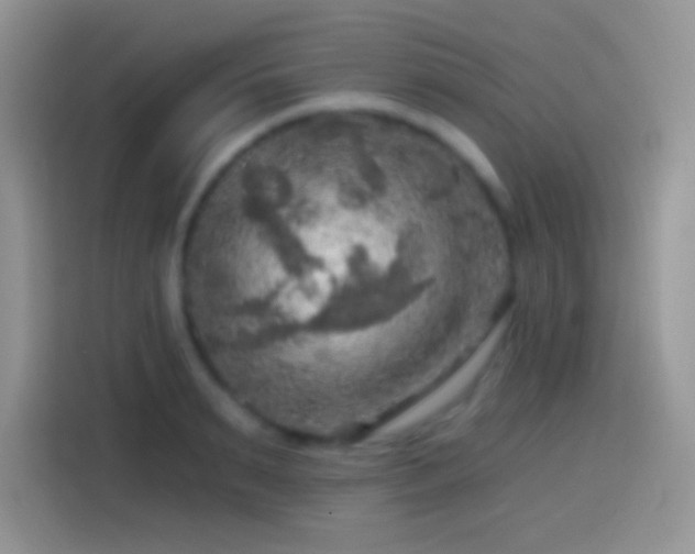 X0000113860895200910011019